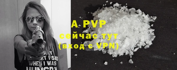 ECSTASY Медвежьегорск