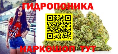 ALPHA PVP Аргун