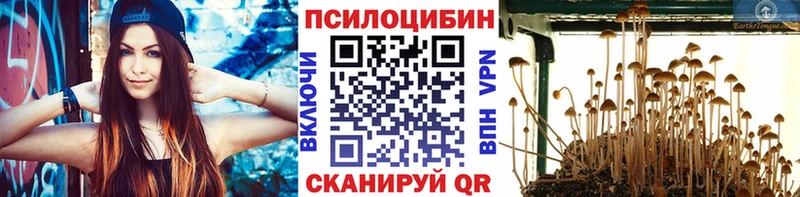 Галлюциногенные грибы Magic Shrooms  Барнаул 