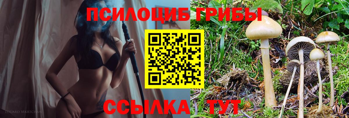 Псилоцибиновые грибы мицелий  Вход с VPN  Барнаул  Галлюциногенные грибы Magic Shrooms 